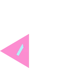 Animal 5-4