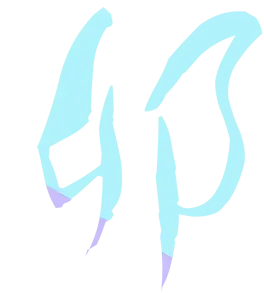 卯